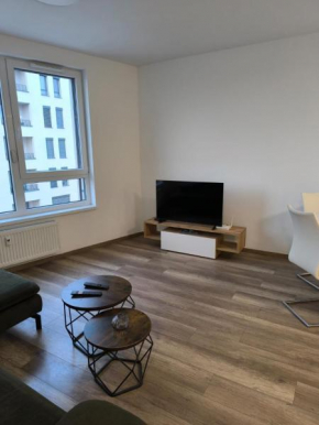 Prudy Apartment pre 4 ludi